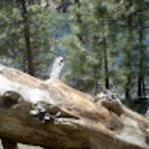 Meet your Posher, Stuart